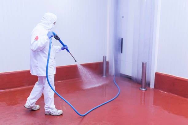 Best Winterizing Services  in Lucerne Valley, CA